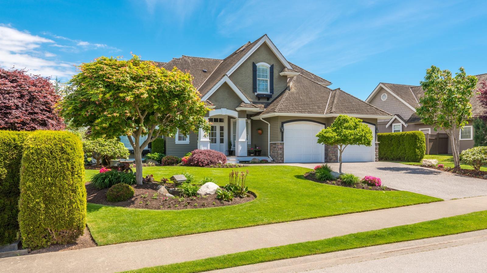 Bi-Weekly Lawn Service